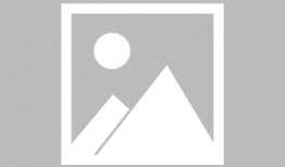 格斗视频,格斗视频精彩回顾